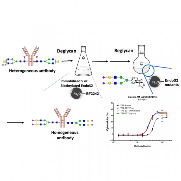 biorad magnetic beads antibody reactivity