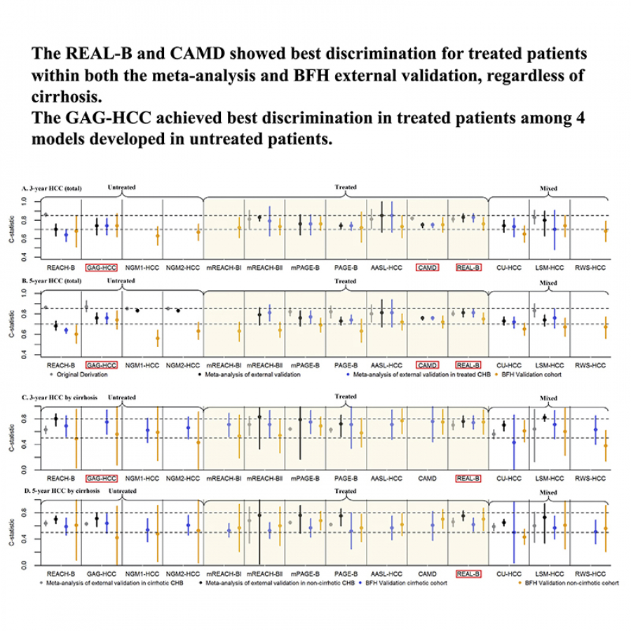 Hepatocellular Carcinoma Prediction Models In Chronic Hepatitis B: A ...